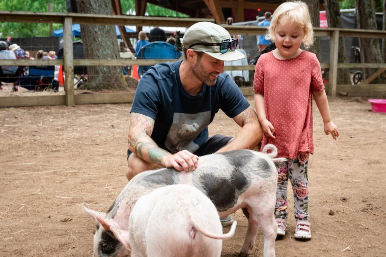 Pet Farm FBF23 768x511