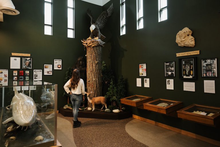 Sasquatch Museum 1 768x512