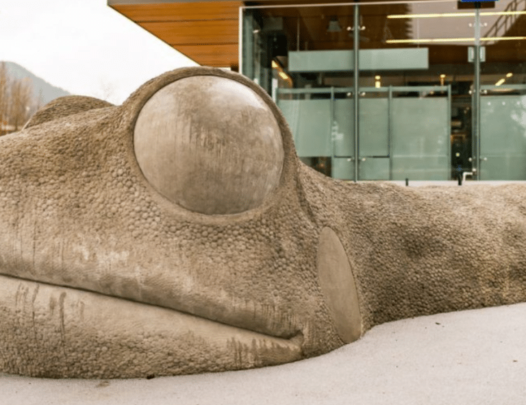 Screenshot 2026 01 20 133011 768x591