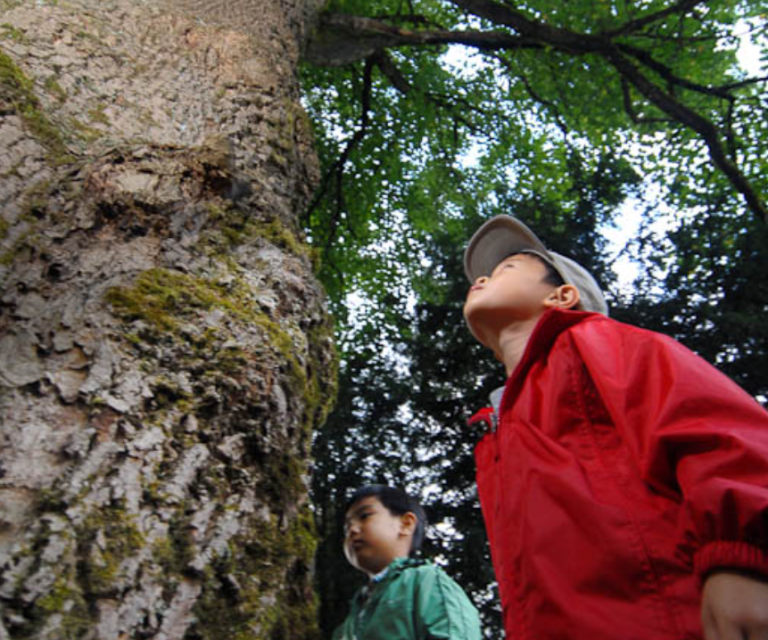 Screenshot 2026 01 20 134638 768x640