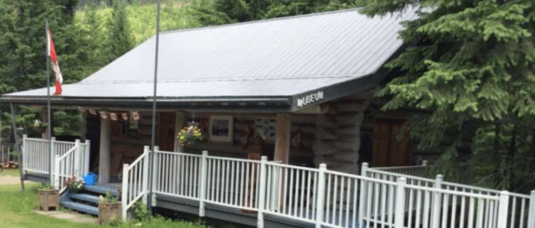 Screenshot 2026 02 10 121812 768x328