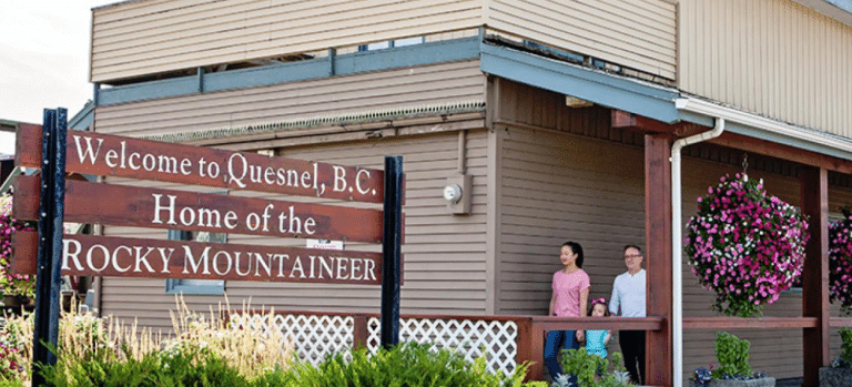 Screenshot 2026 02 24 121953 768x349