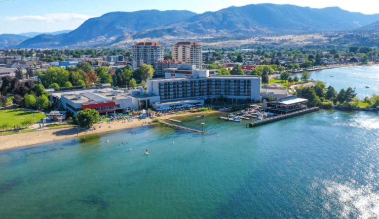 Screenshot 2026 03 19 133146 768x443