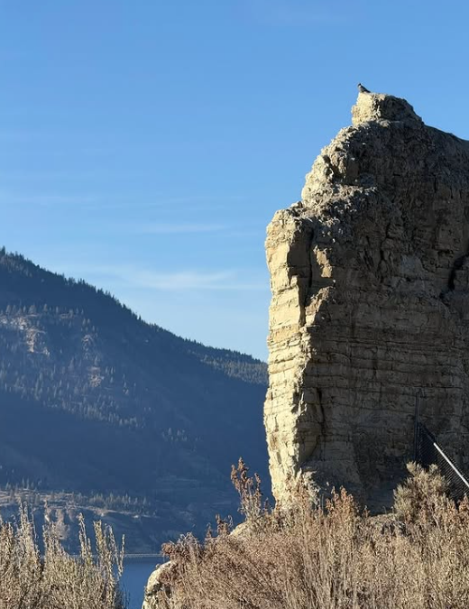 Screenshot 2026 03 20 125653