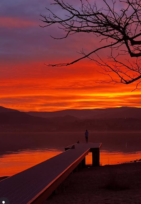 Screenshot 2026 03 20 125734