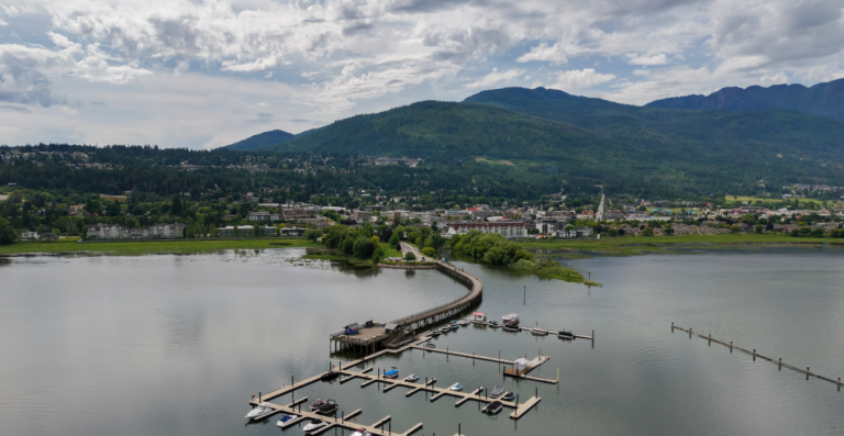 Screenshot 2026 03 24 141731 768x397