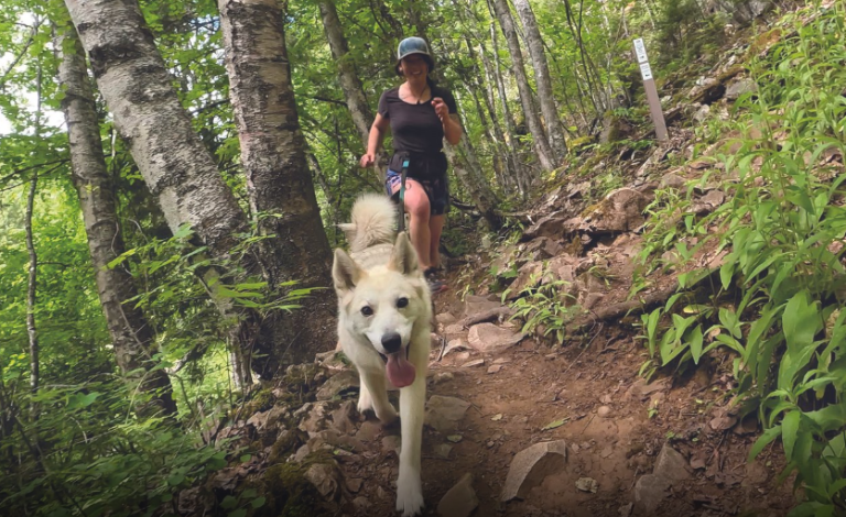 Screenshot 2026 03 25 084825 1 768x470