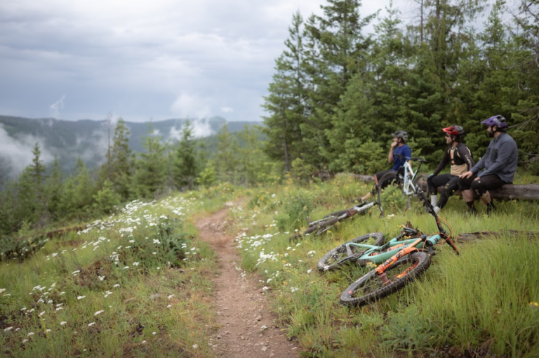 Screenshot 2026 03 25 095804 768x510