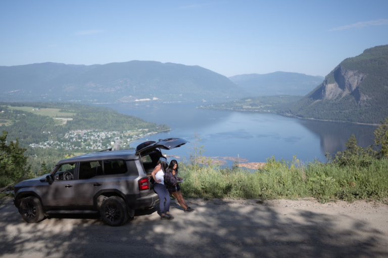 Screenshot 2026 03 25 095814 768x511