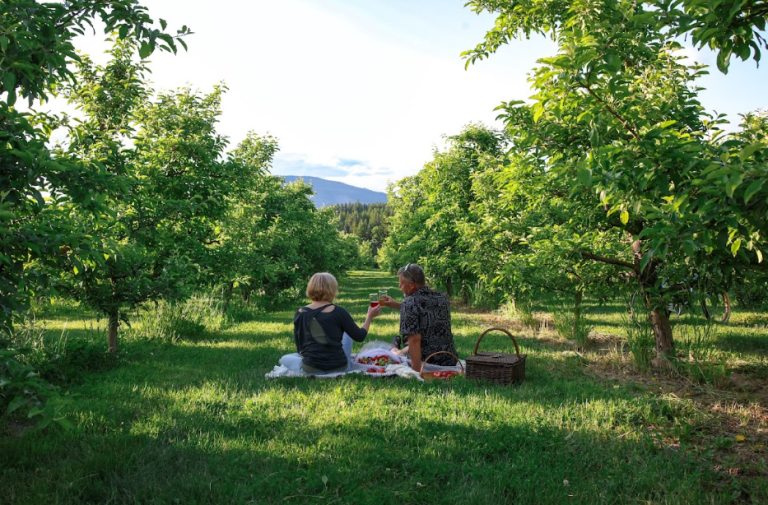 Screenshot 2026 03 25 095834 768x505