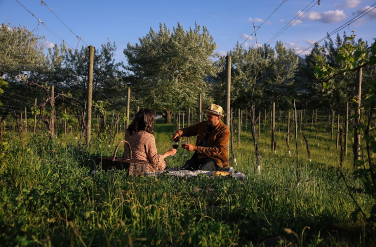 Screenshot 2026 03 25 095849 768x506