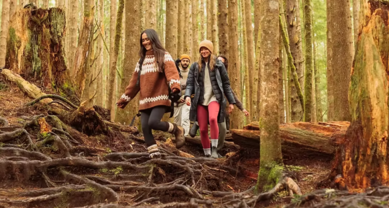 Screenshot 2026 03 31 144409 768x410