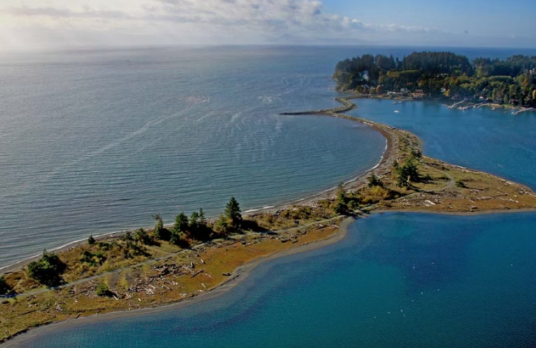 Screenshot 2026 03 31 144511 768x498