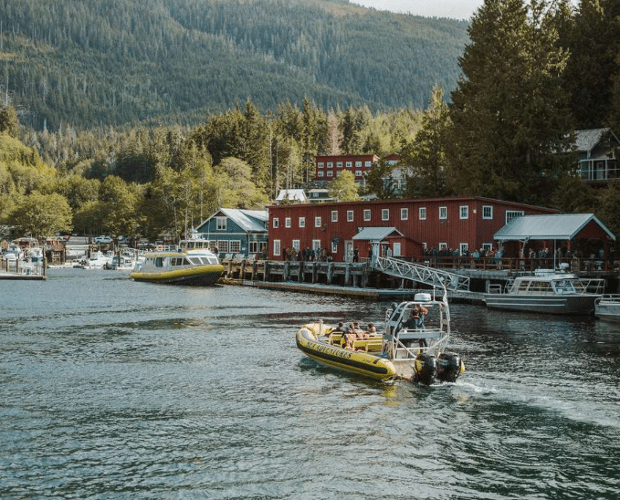 Screenshot 2026 04 02 113431