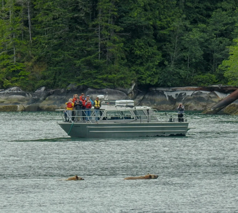 Screenshot 2026 04 02 113954 768x687