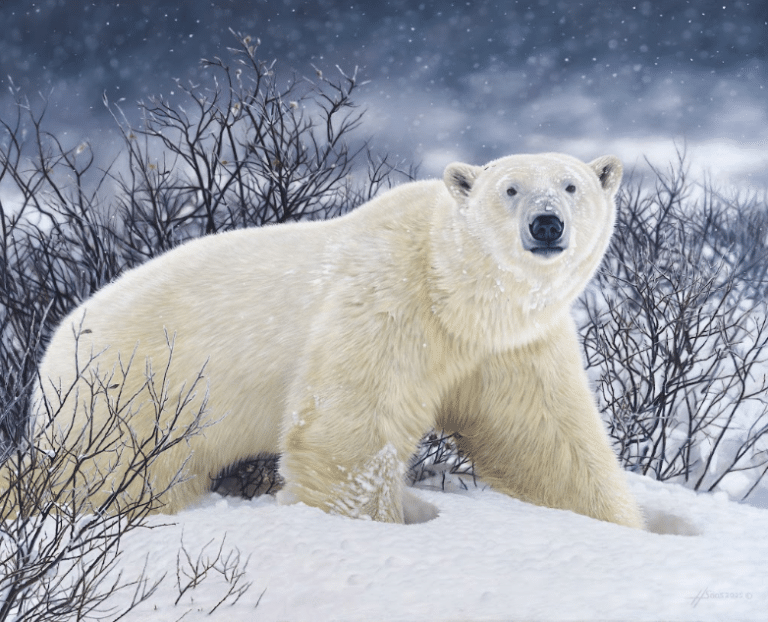 Screenshot 2026 04 07 104632 768x622