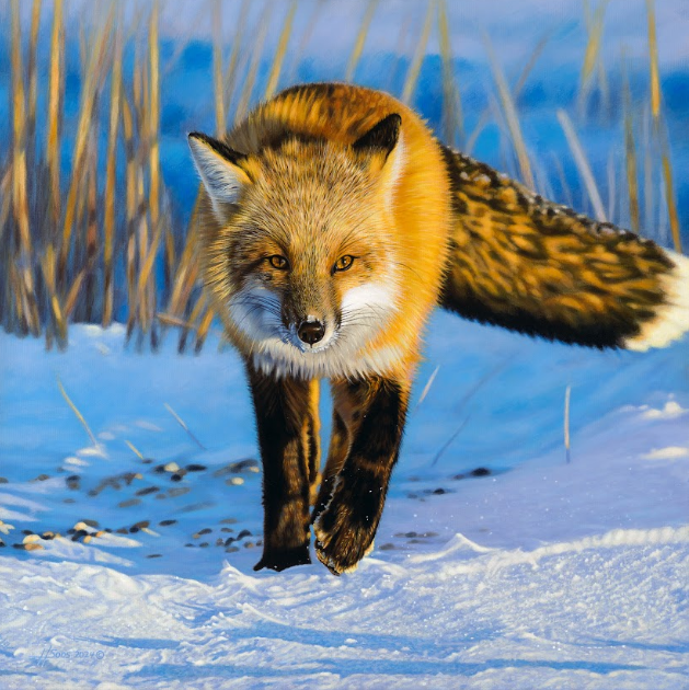 Screenshot 2026 04 07 104647