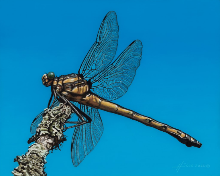 Screenshot 2026 04 07 104725 768x615