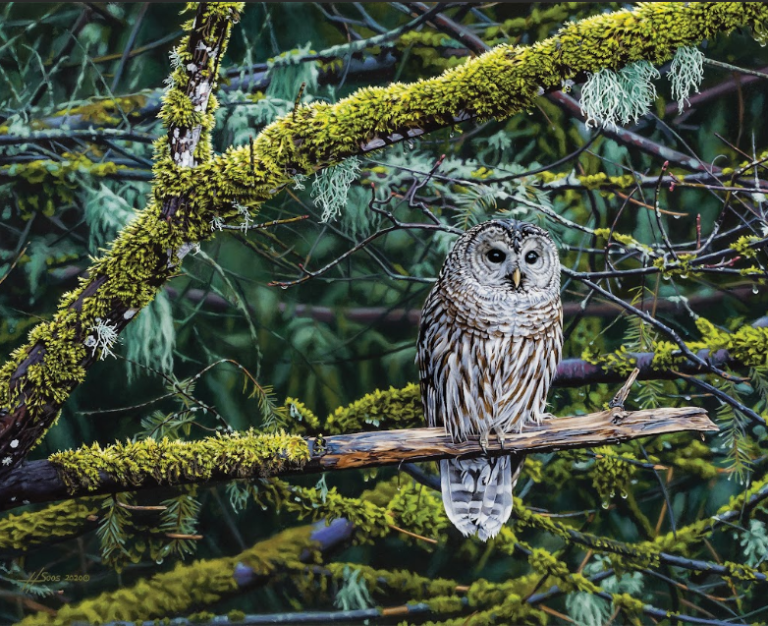 Screenshot 2026 04 07 104750 768x626