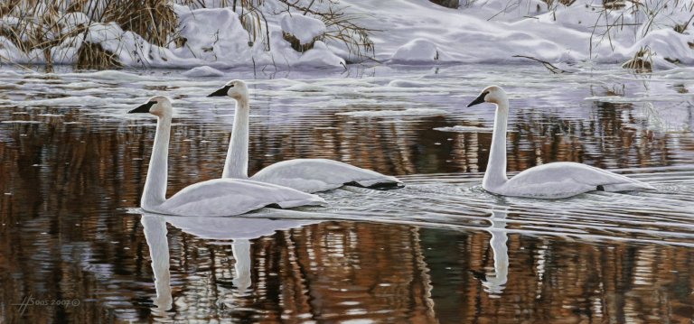 Screenshot 2026 04 07 104851 768x359