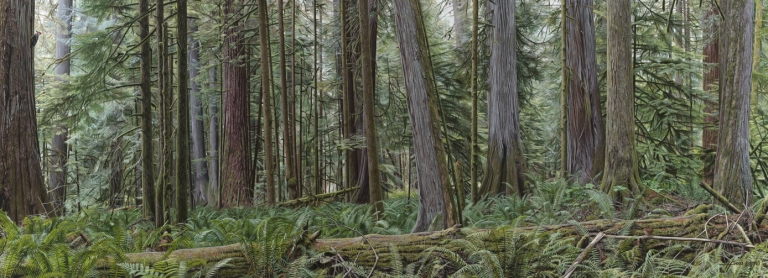 Screenshot 2026 04 07 105637 768x278