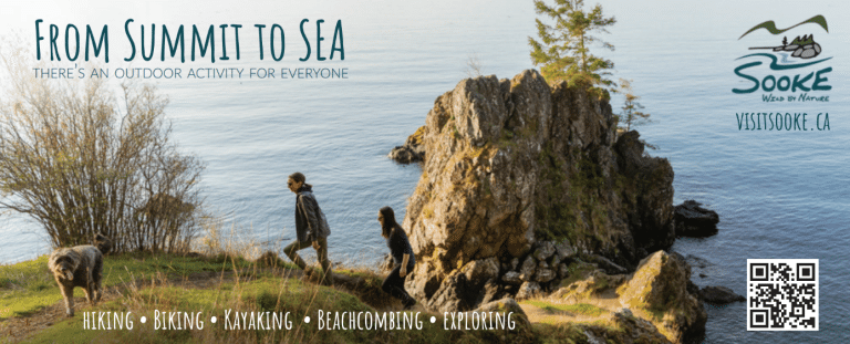 Screenshot 2026 04 15 151722 768x311