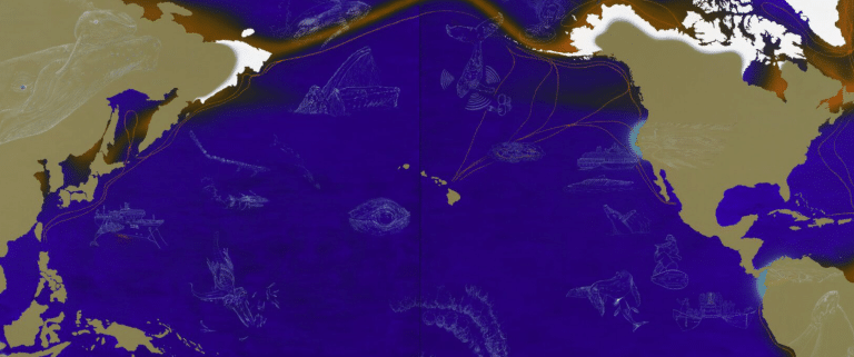 Screenshot 2026 06 02 144446 768x321