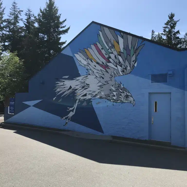 Sechelt art 2 768x768