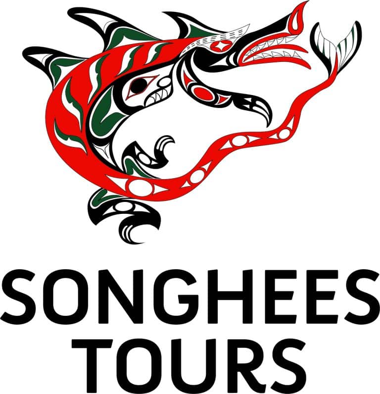 Songhees tour 768x796