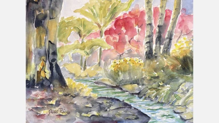 Surrey Art Gallery Marking the Seasons 768x432