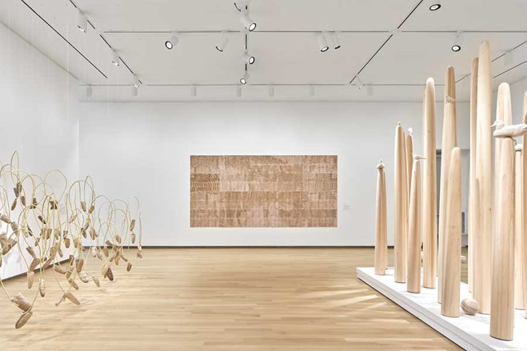 Tania Willard Vestige install 768x512