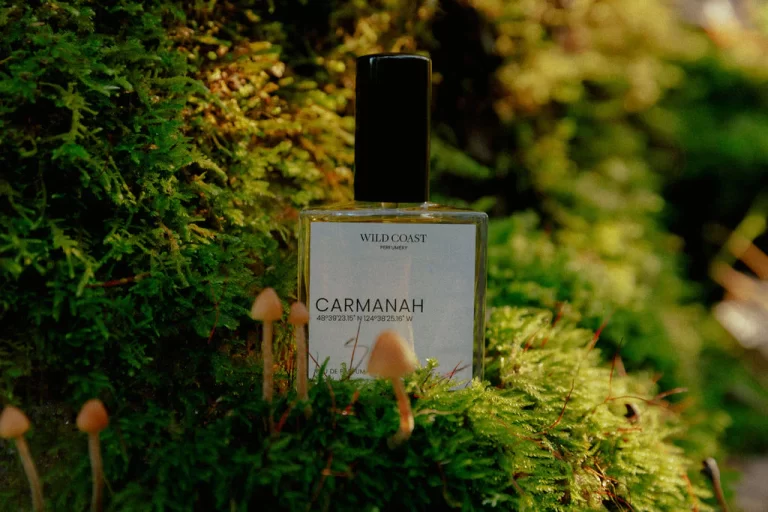 WILDCOAST FALL 2023 47 1024x 768x512