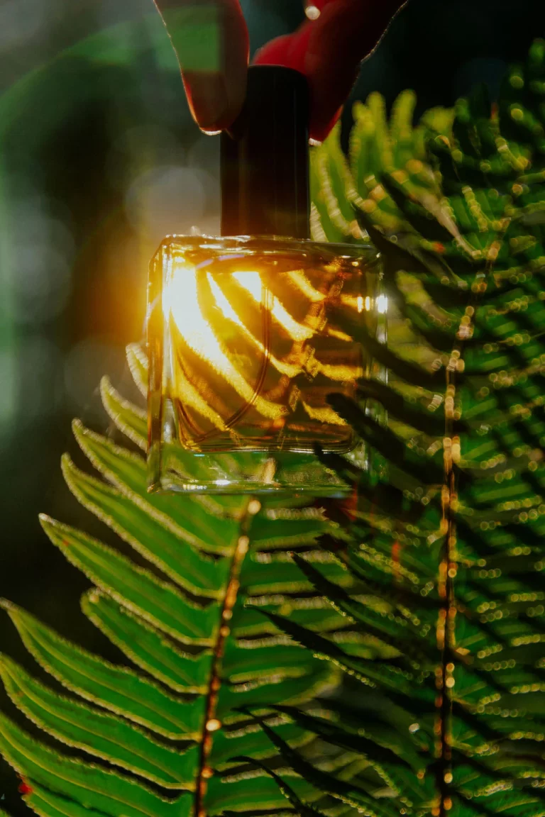 WILDCOAST FALL 2023 95 1024x 768x1152