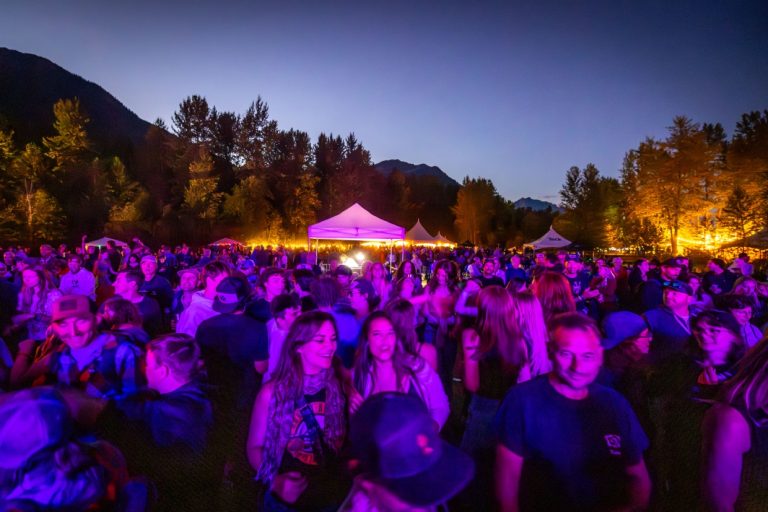 Wapiti Festival 2023 night medium 768x512
