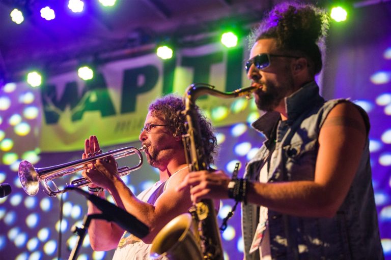 Wapiti 12 Aug 2017 174 medium 768x512