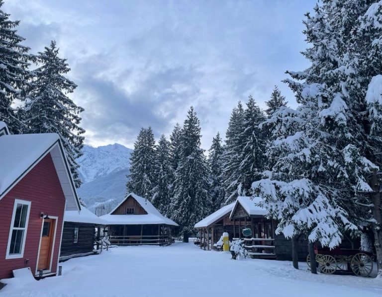 Winter 1 2023 768x598