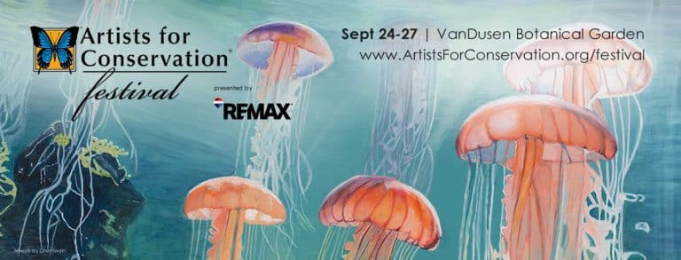 afc festival banner 1200x458b 768x293