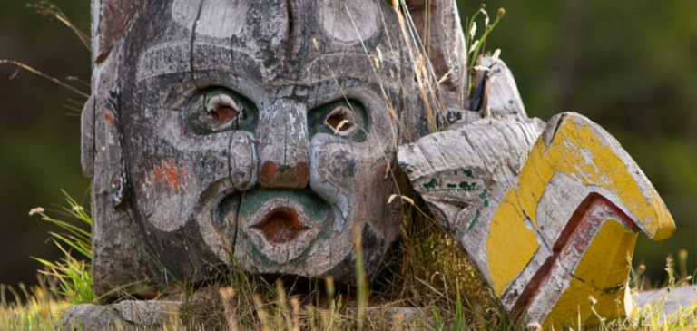 alert bay banner 1024x487 1 768x365