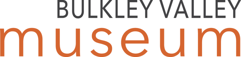 bvmuseum logo RGB STCK trsp 768x183