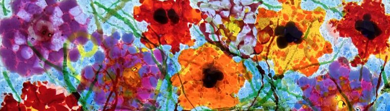 cherryville studio1 768x219