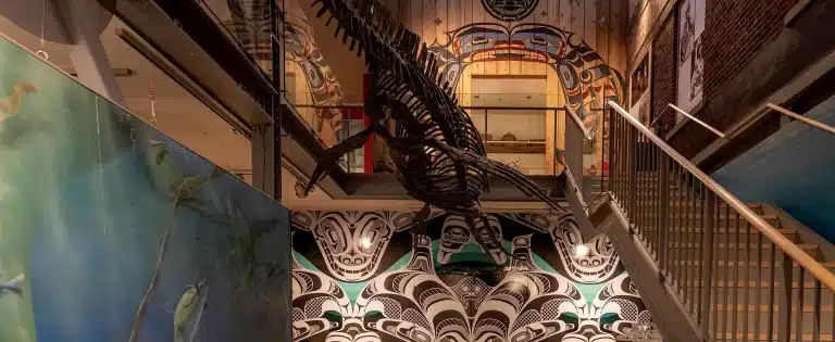 courtenay district museum peterohara 1.2400x984 768x315