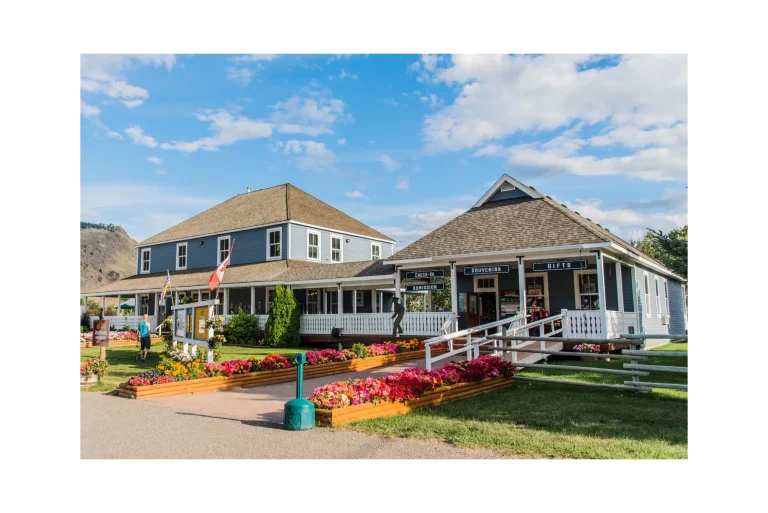 crw 2560h 1709 768x513