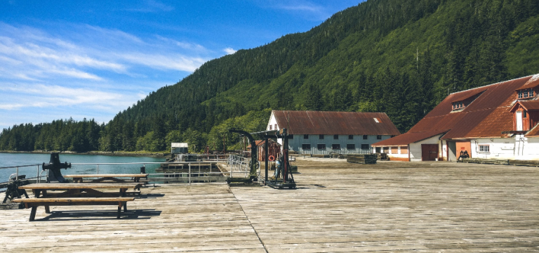 edward npc dock 768x360