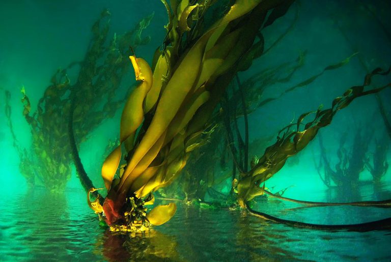 first saturday 2026.jpeg 2 768x515