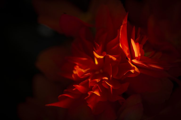 first saturday 2026.jpeg 3 1 768x512