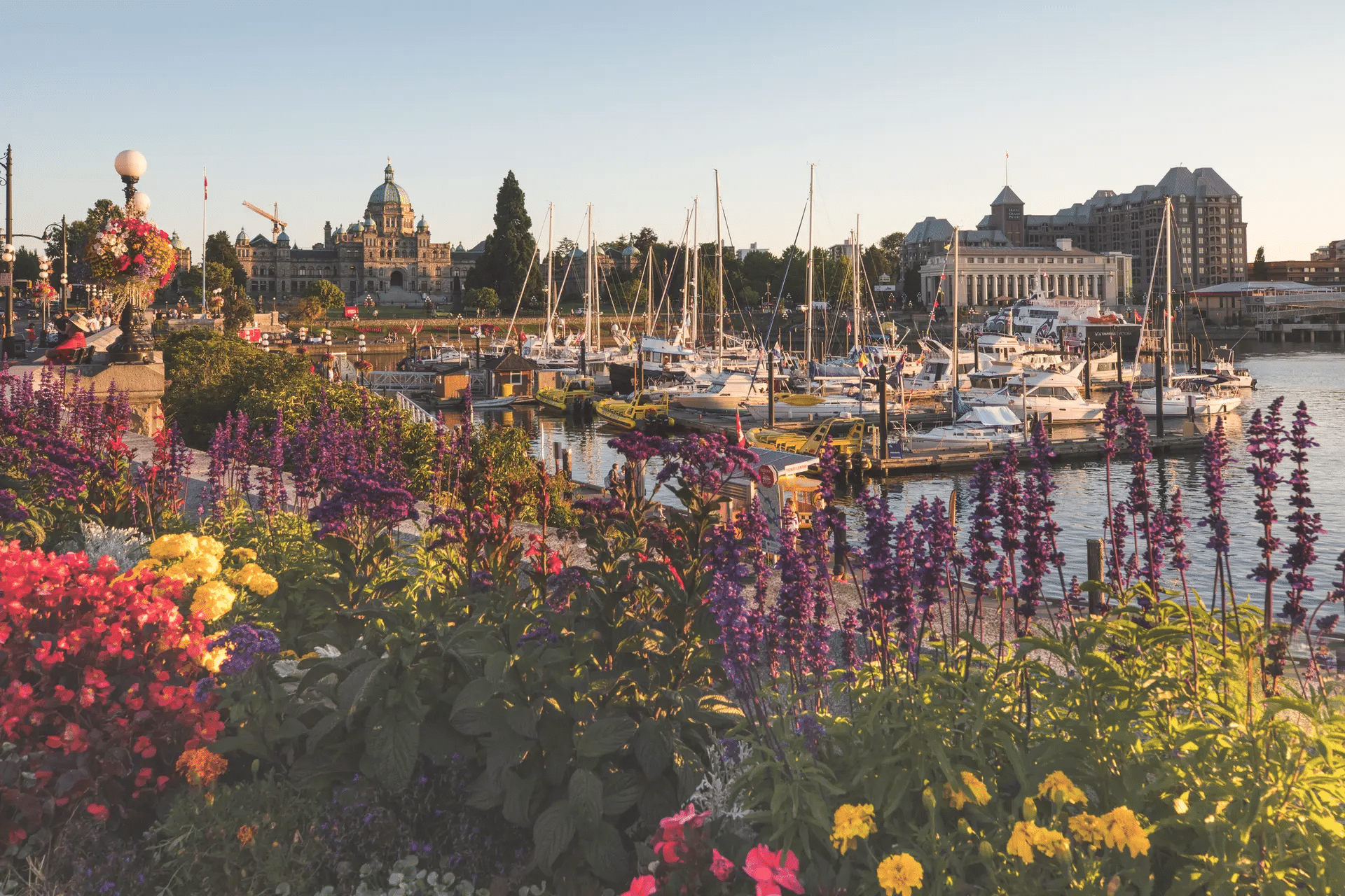 Things to do in Victoria BC in summer