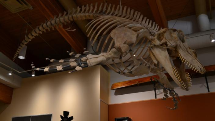 Tems Swiya Museum, Sechelt