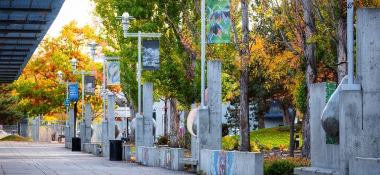 kelowna cultural 768x353