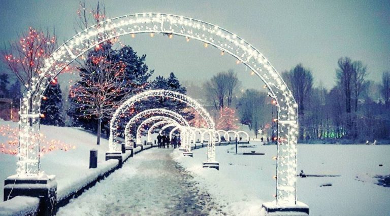 lafarge lake coquitlam christmas lights 768x426