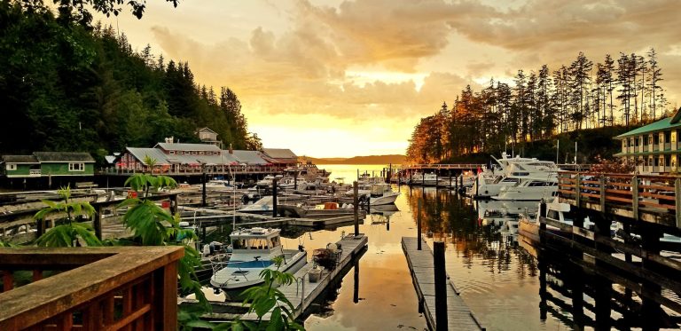 marinasunset 768x373